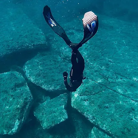 Miro Art אלגהרו