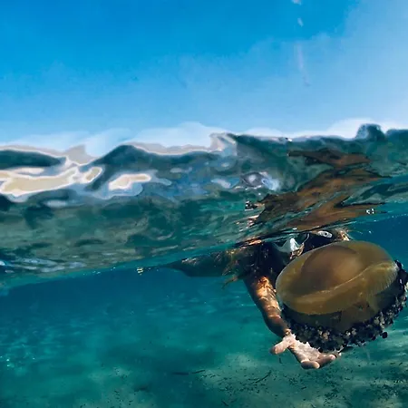 Apartament Miro Art *