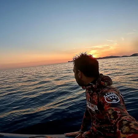 Miro Art אלגהרו