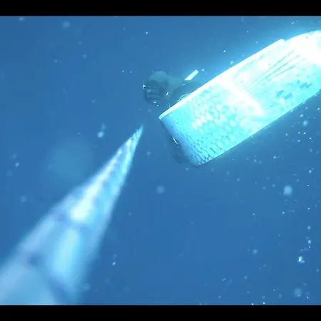 Miro Art Apartament *