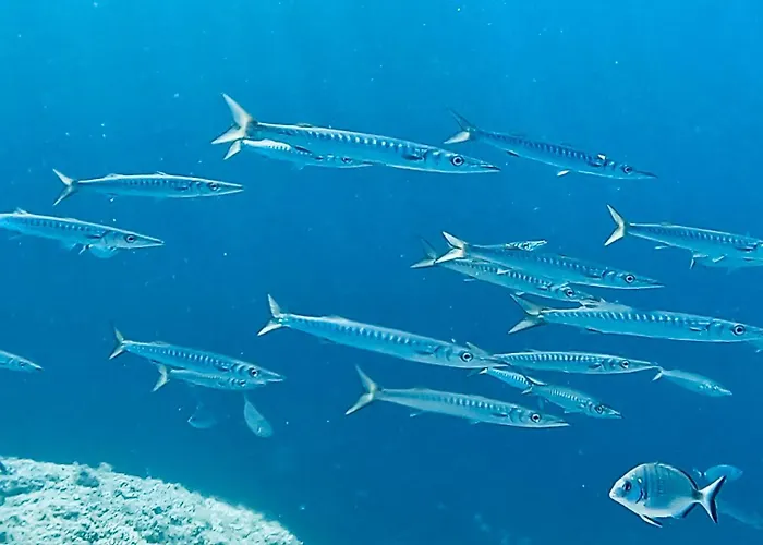 Apartamento Miro Art