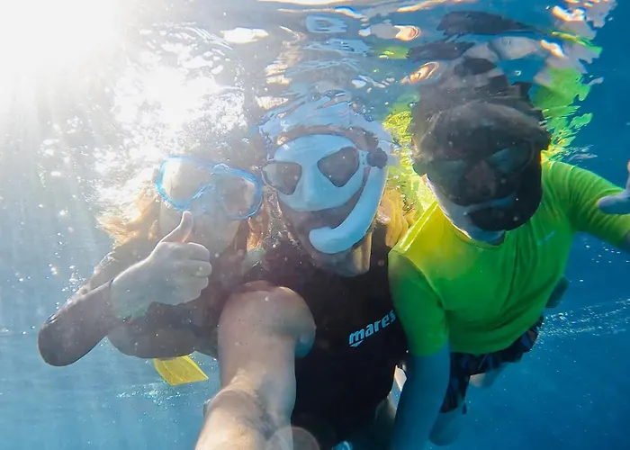 Miro Art Apartamento Alguer