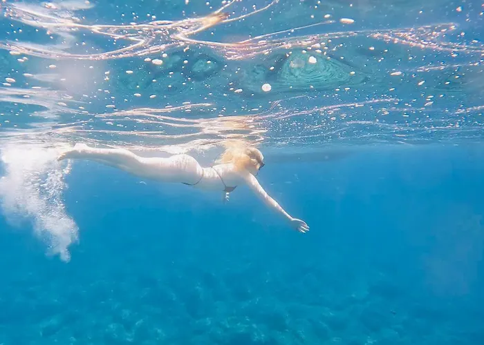 Miro Art Apartamento Alguer