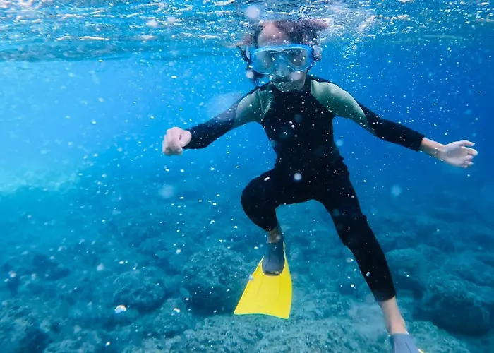 Apartamento Miro Art Alguer